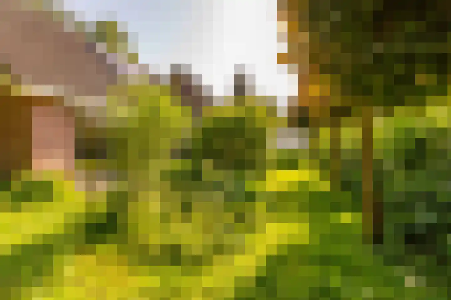 Ten Hoevestraat 13 Kerkenveld thumbnail 51