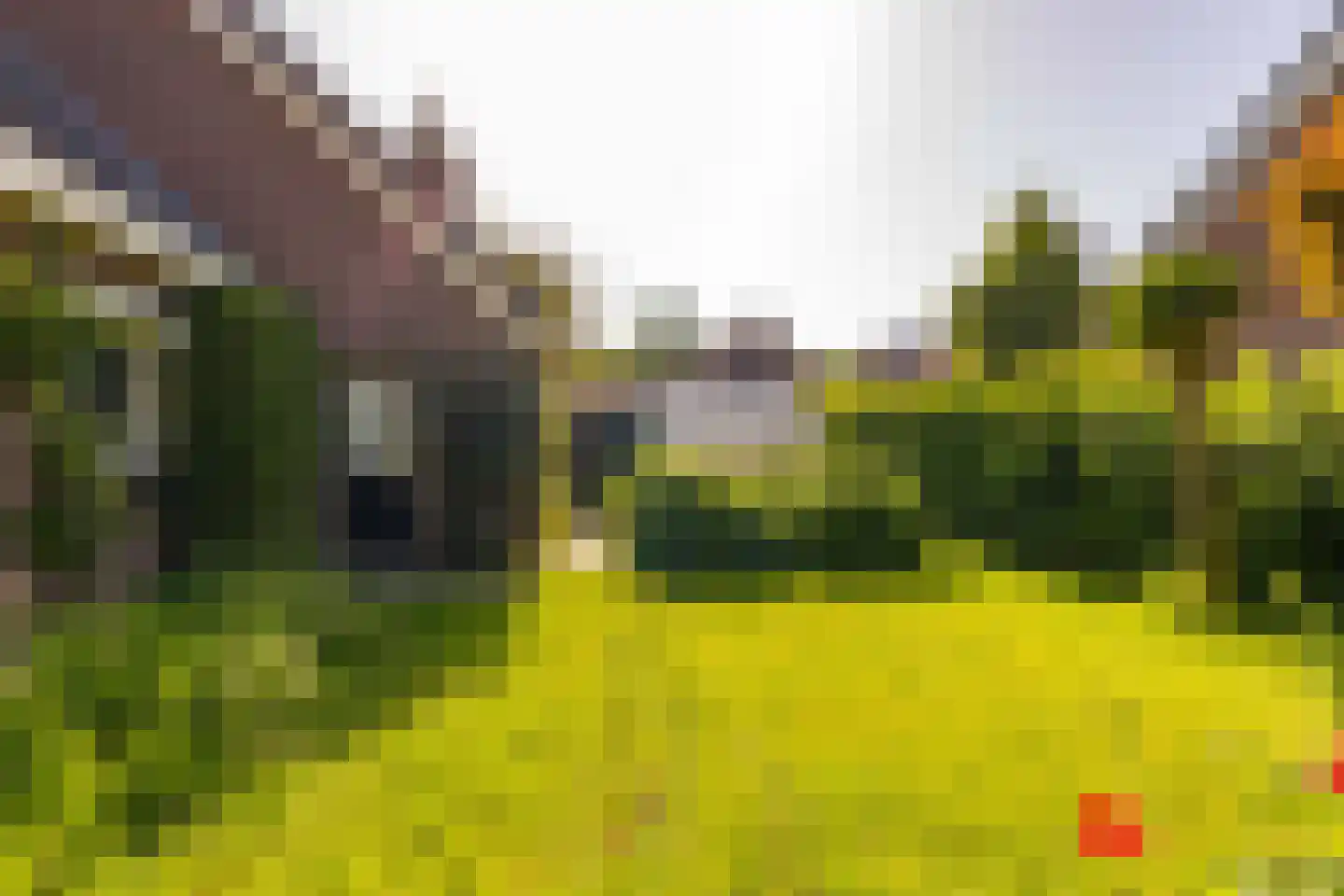 Ten Hoevestraat 13 Kerkenveld thumbnail 52