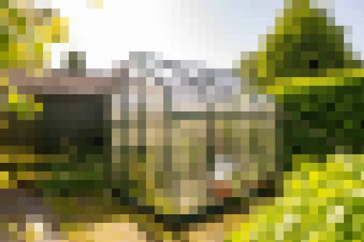 Ten Hoevestraat 13 Kerkenveld thumbnail 53
