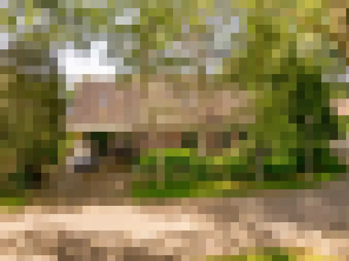 Ten Hoevestraat 13 Kerkenveld thumbnail 56