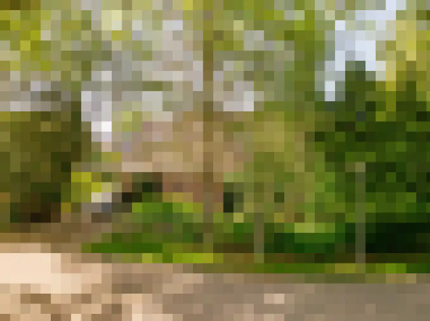 Ten Hoevestraat 13 Kerkenveld thumbnail 57
