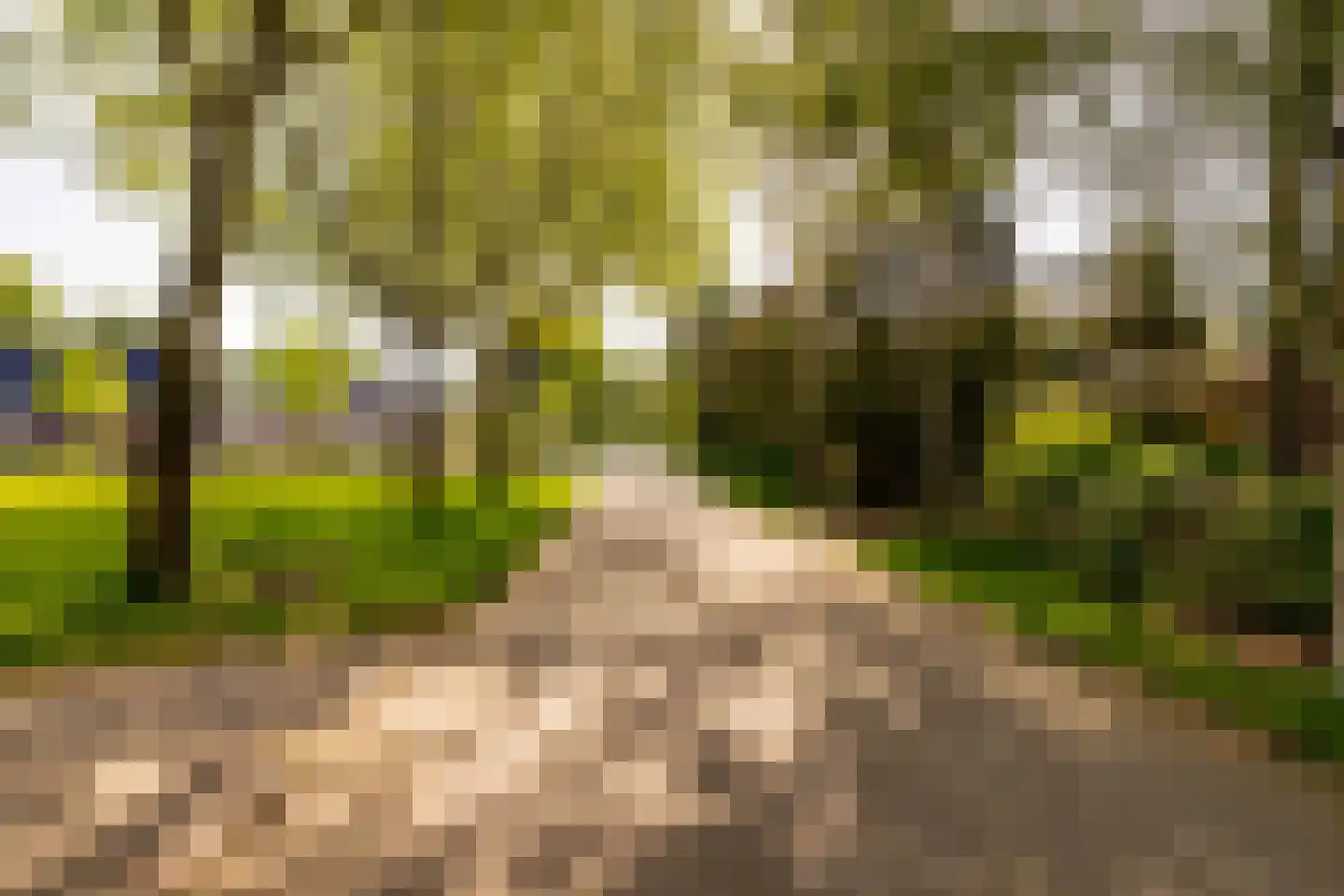 Ten Hoevestraat 13 Kerkenveld thumbnail 58