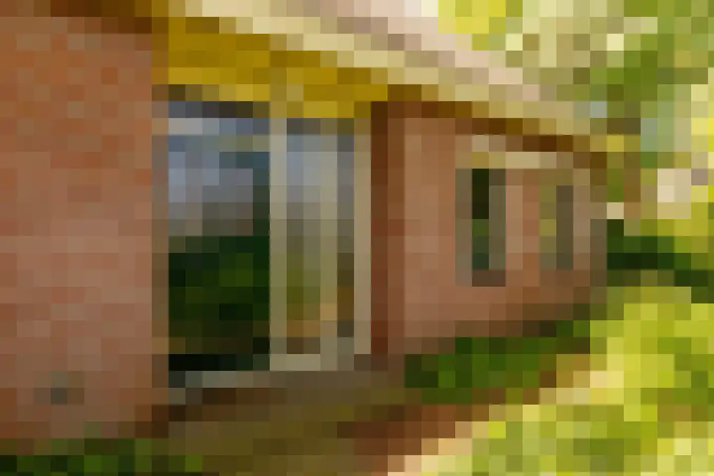 Ten Hoevestraat 13 Kerkenveld thumbnail 6