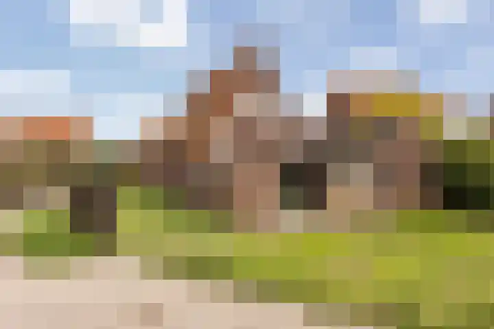 Ten Holtheweg 56 Steenwijkerwold thumbnail 5