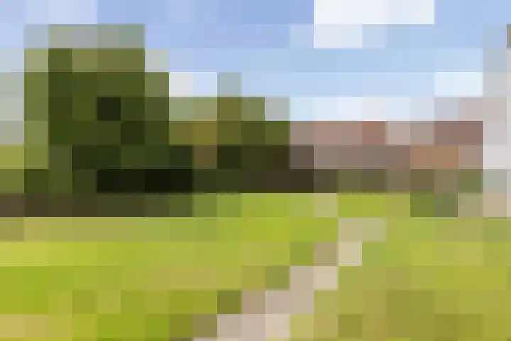 Ten Holtheweg 56 Steenwijkerwold thumbnail 6
