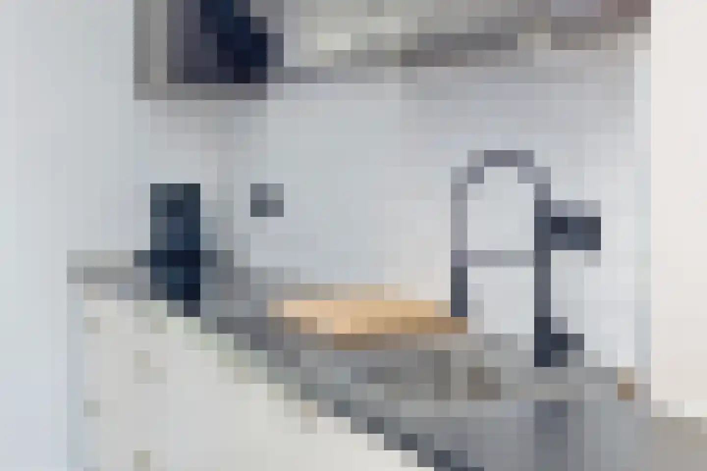 ten Hooringerlaan 24 Oosterwolde thumbnail 19