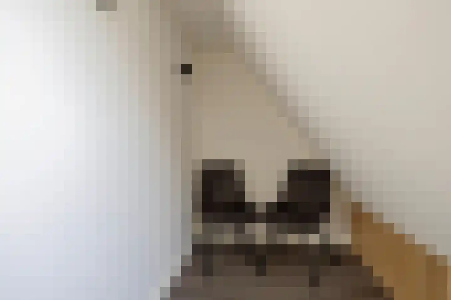ten Hooringerlaan 24 Oosterwolde thumbnail 26