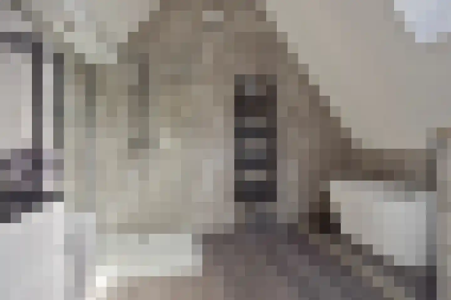 ten Hooringerlaan 24 Oosterwolde thumbnail 30