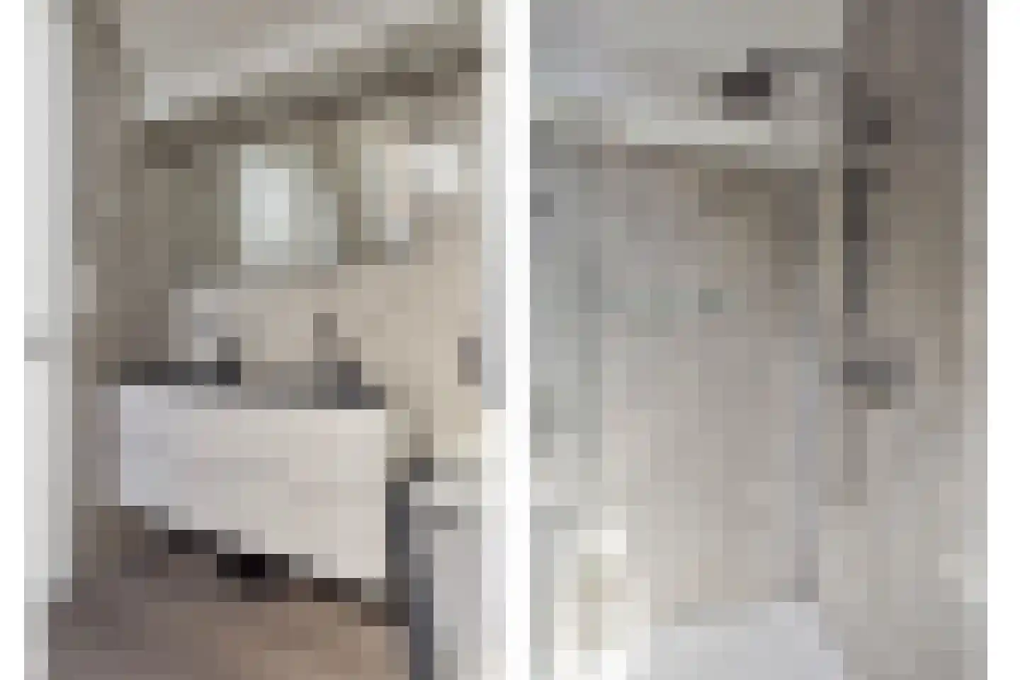 ten Hooringerlaan 24 Oosterwolde thumbnail 33