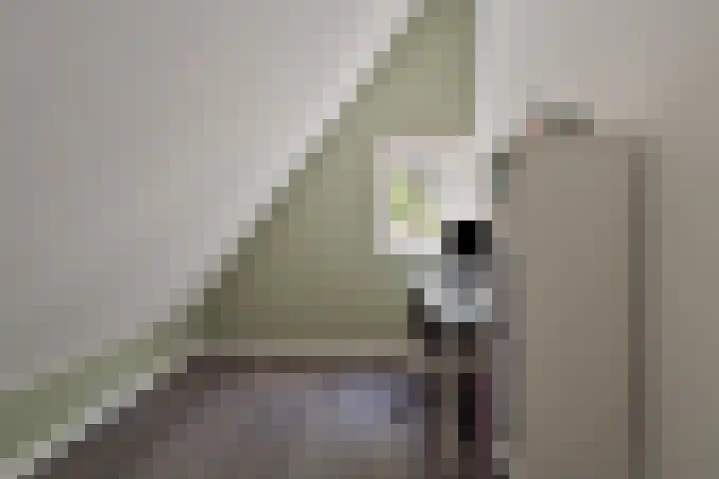 ten Hooringerlaan 24 Oosterwolde thumbnail 36