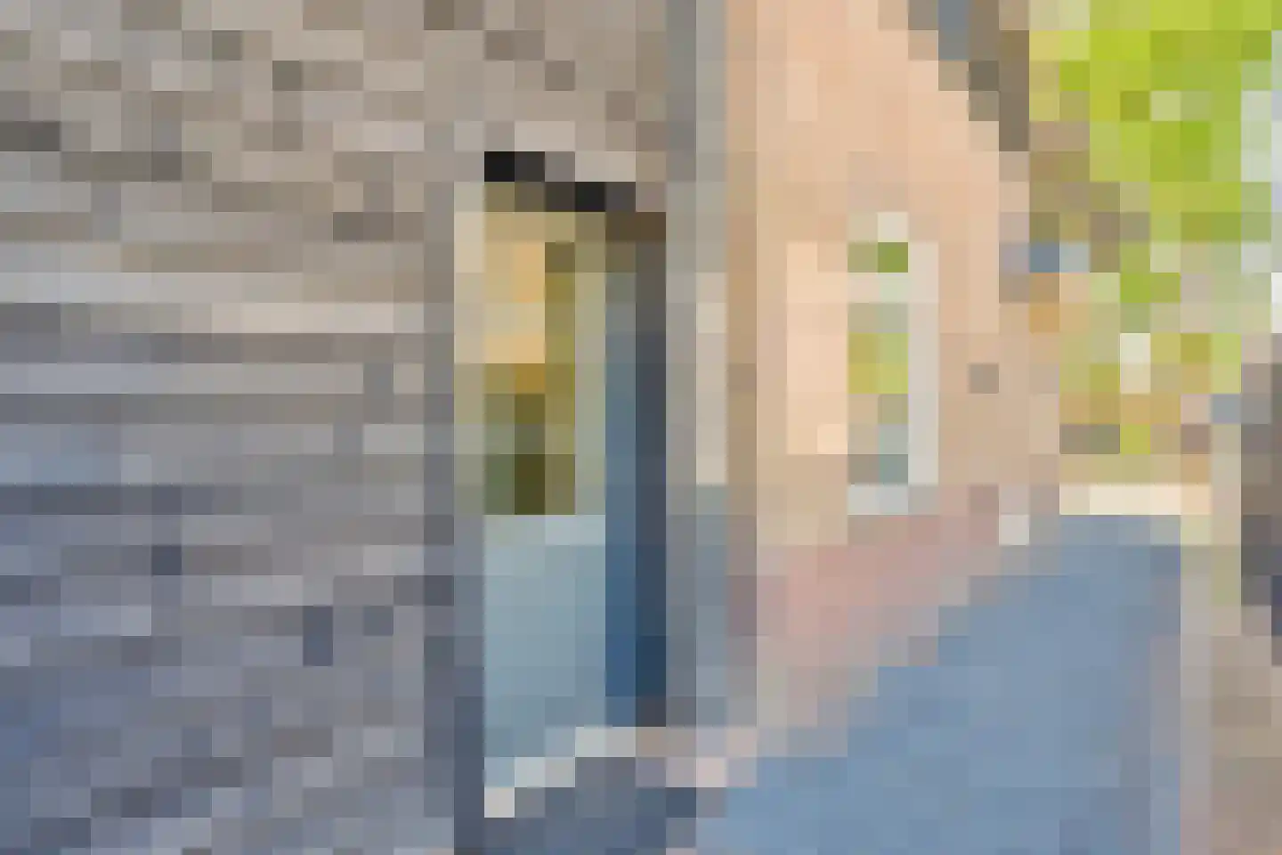 ten Hooringerlaan 24 Oosterwolde thumbnail 44