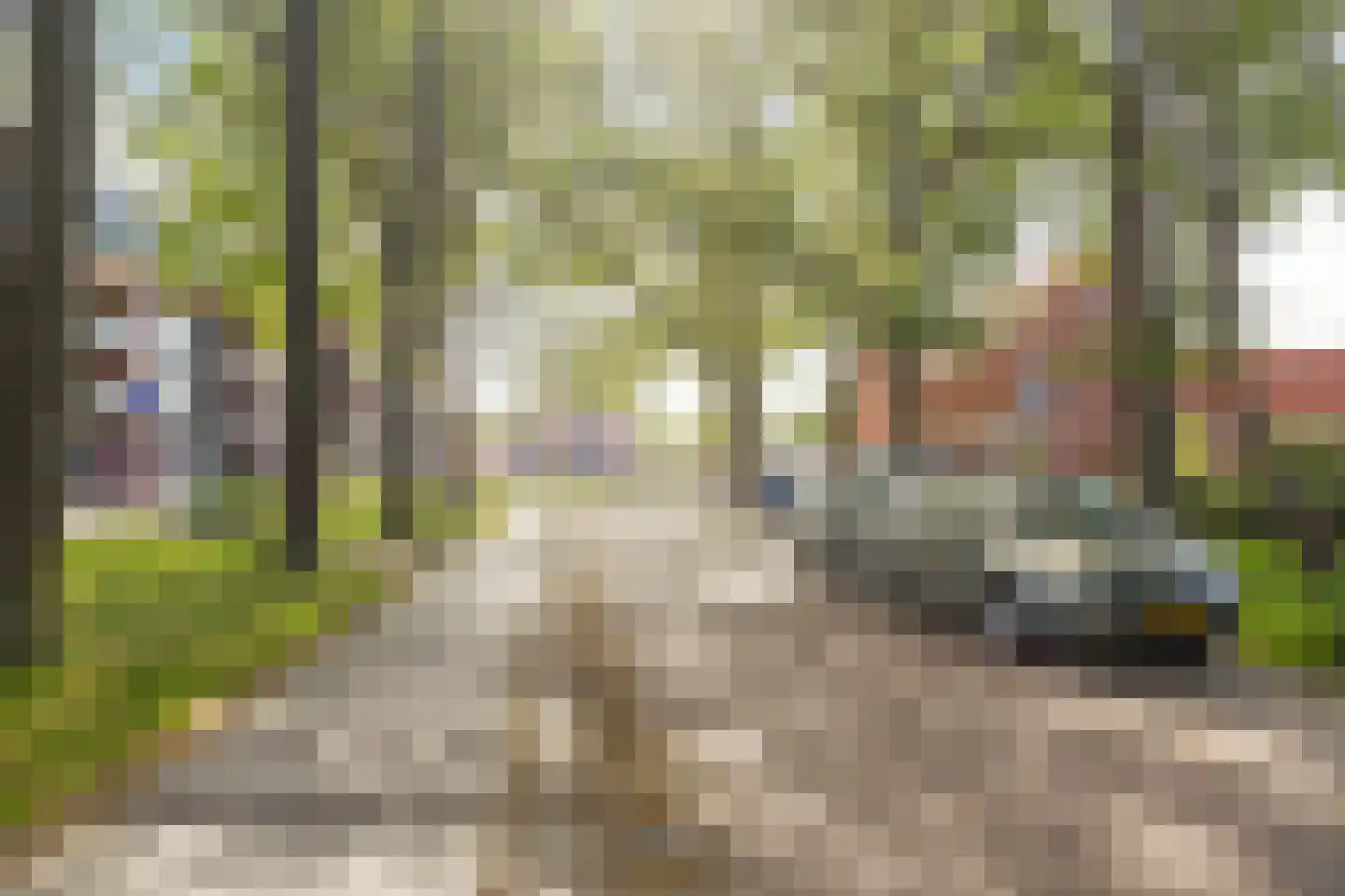 ten Hooringerlaan 24 Oosterwolde thumbnail 49