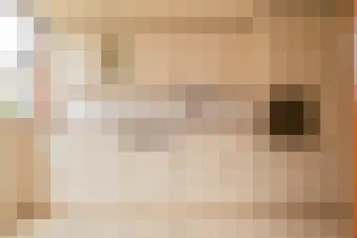 Ten Hove 5 Wateringen thumbnail 15