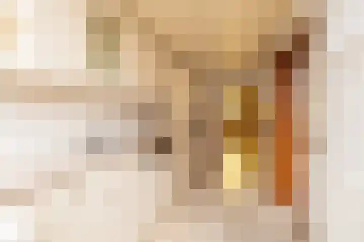 Ten Hove 5 Wateringen thumbnail 17