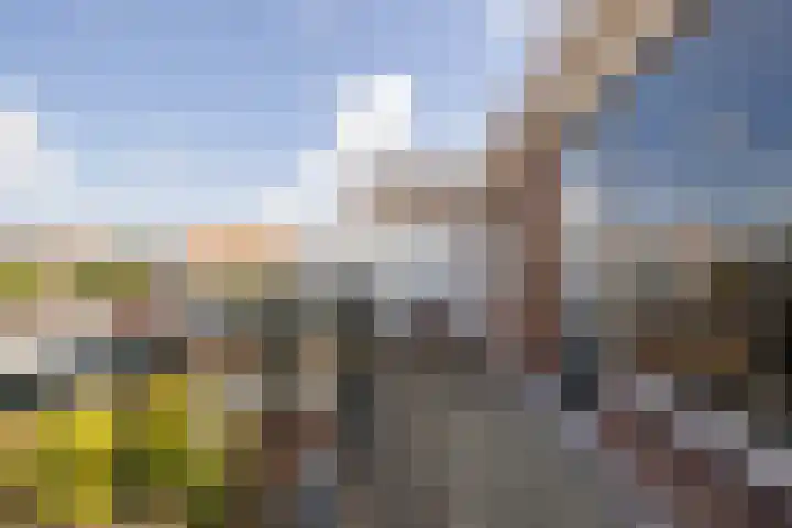 Ten Hove 5 Wateringen thumbnail 23