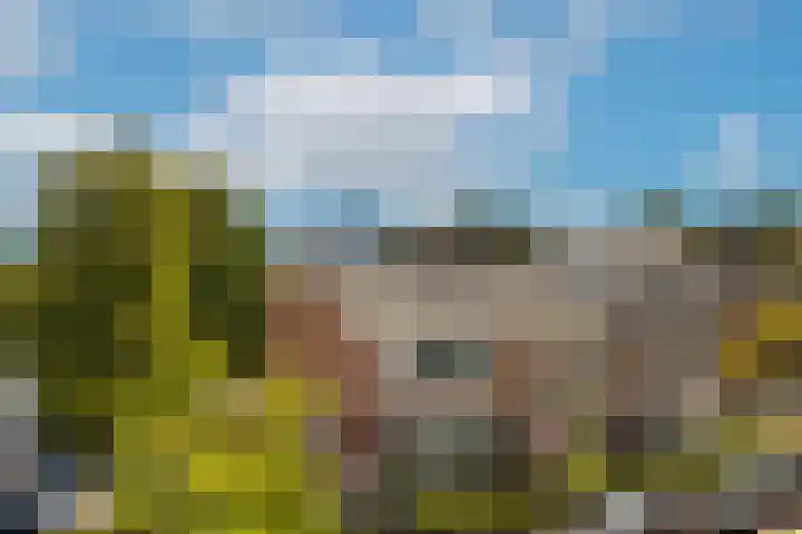 Ten Hove 5 Wateringen thumbnail 38