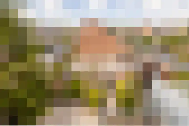 Ten Hove 5 Wateringen thumbnail 39