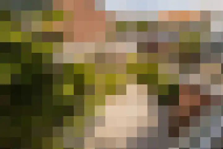 Ten Hove 5 Wateringen thumbnail 40