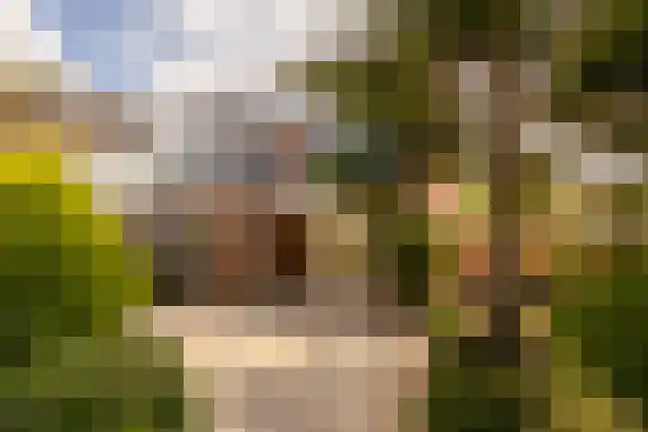 Ten Hove 5 Wateringen thumbnail 43