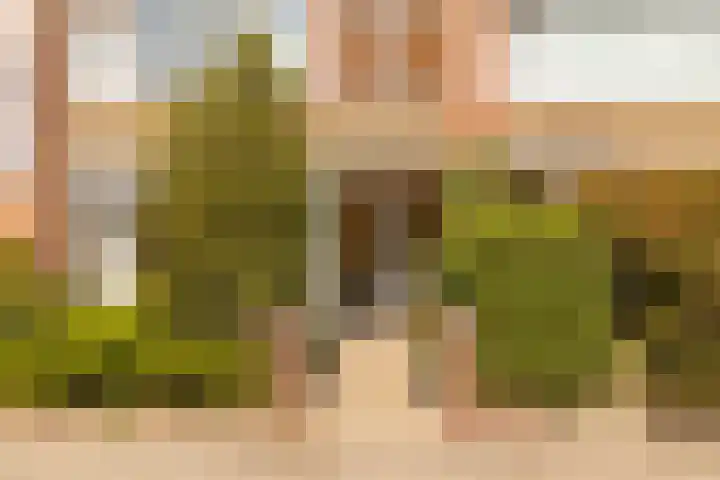 Ten Hove 5 Wateringen thumbnail 5