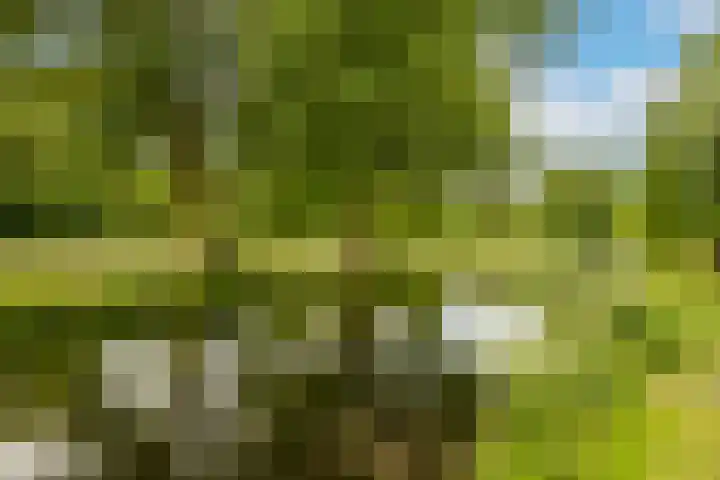 Ten Hove 5 Wateringen thumbnail 51