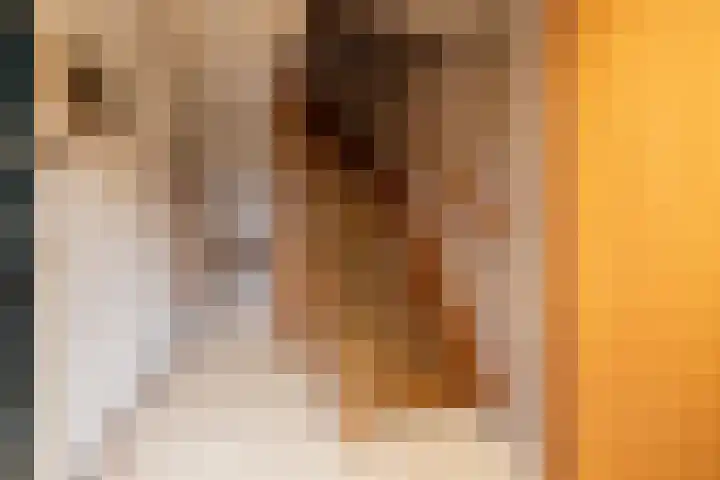 Ten Hove 5 Wateringen thumbnail 6