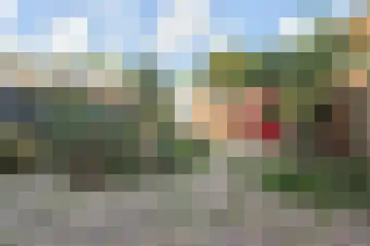 Ten Hove 9 Wateringen thumbnail 18