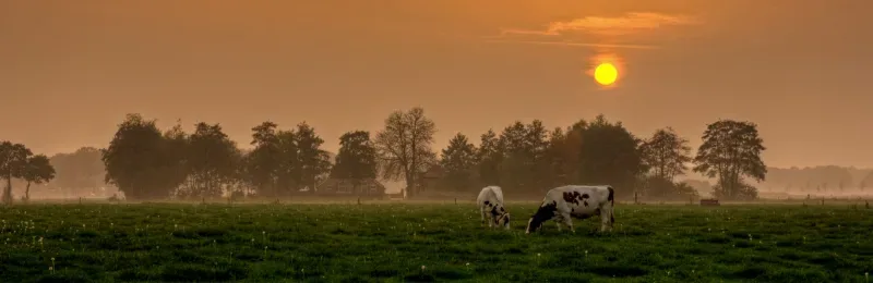 Kantoor foto van Ten Hove Makelaardij & Taxaties