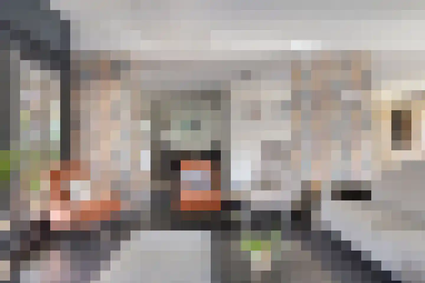 Ten Hovestraat 10 Bergen op Zoom thumbnail 11