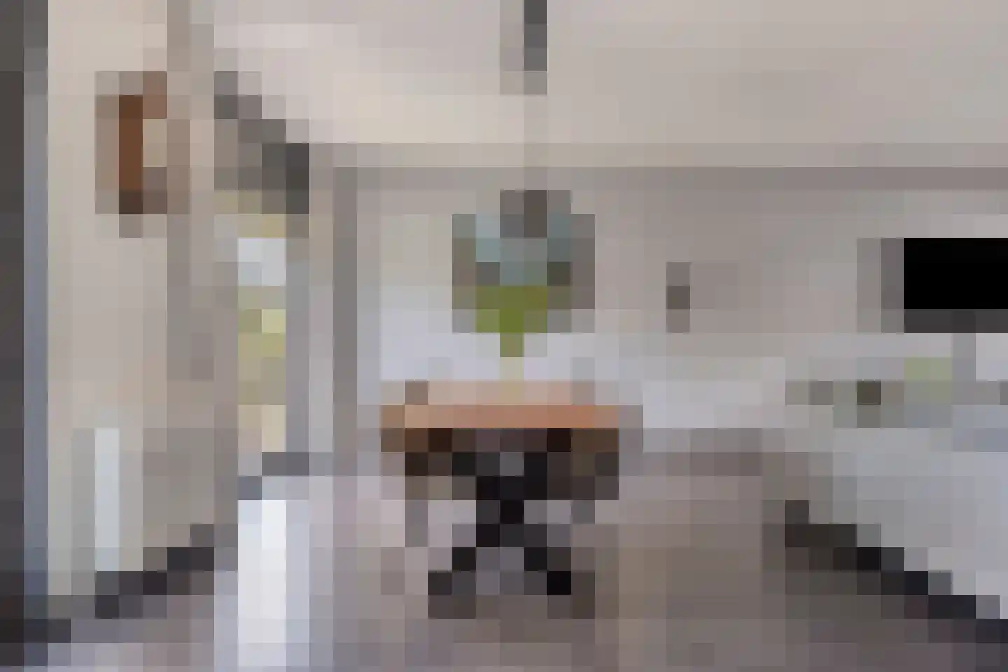 Ten Hovestraat 10 Bergen op Zoom thumbnail 15