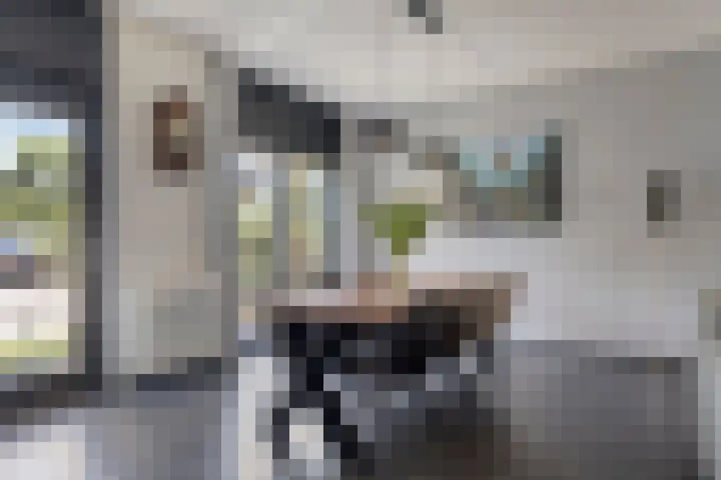 Ten Hovestraat 10 Bergen op Zoom thumbnail 16