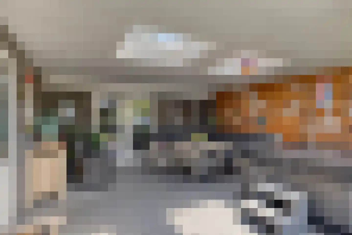 Ten Hovestraat 10 Bergen op Zoom thumbnail 33