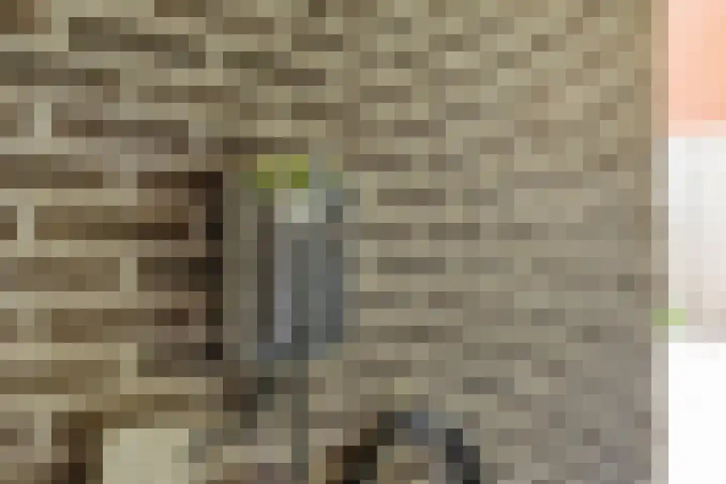 Ten Hovestraat 10 Bergen op Zoom thumbnail 38
