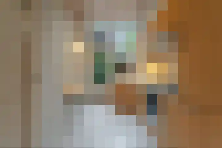 Ten Hovestraat 15 Den Haag thumbnail 5