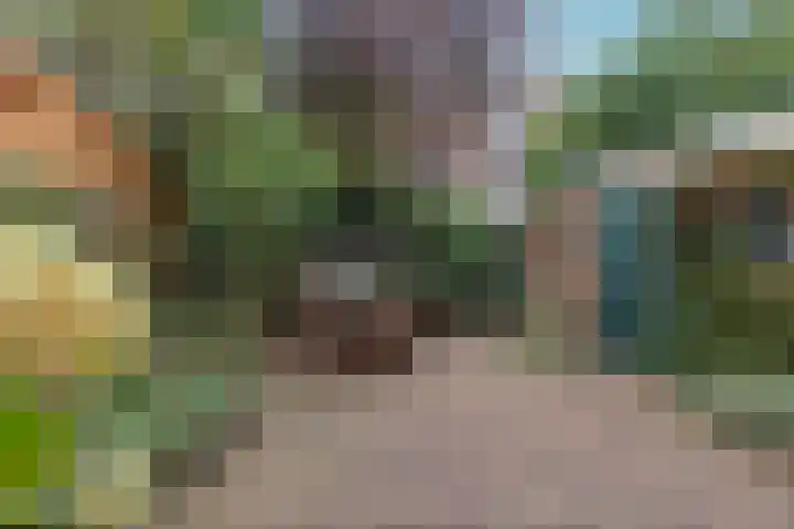 Ten Hovestraat 15 Den Haag thumbnail 6