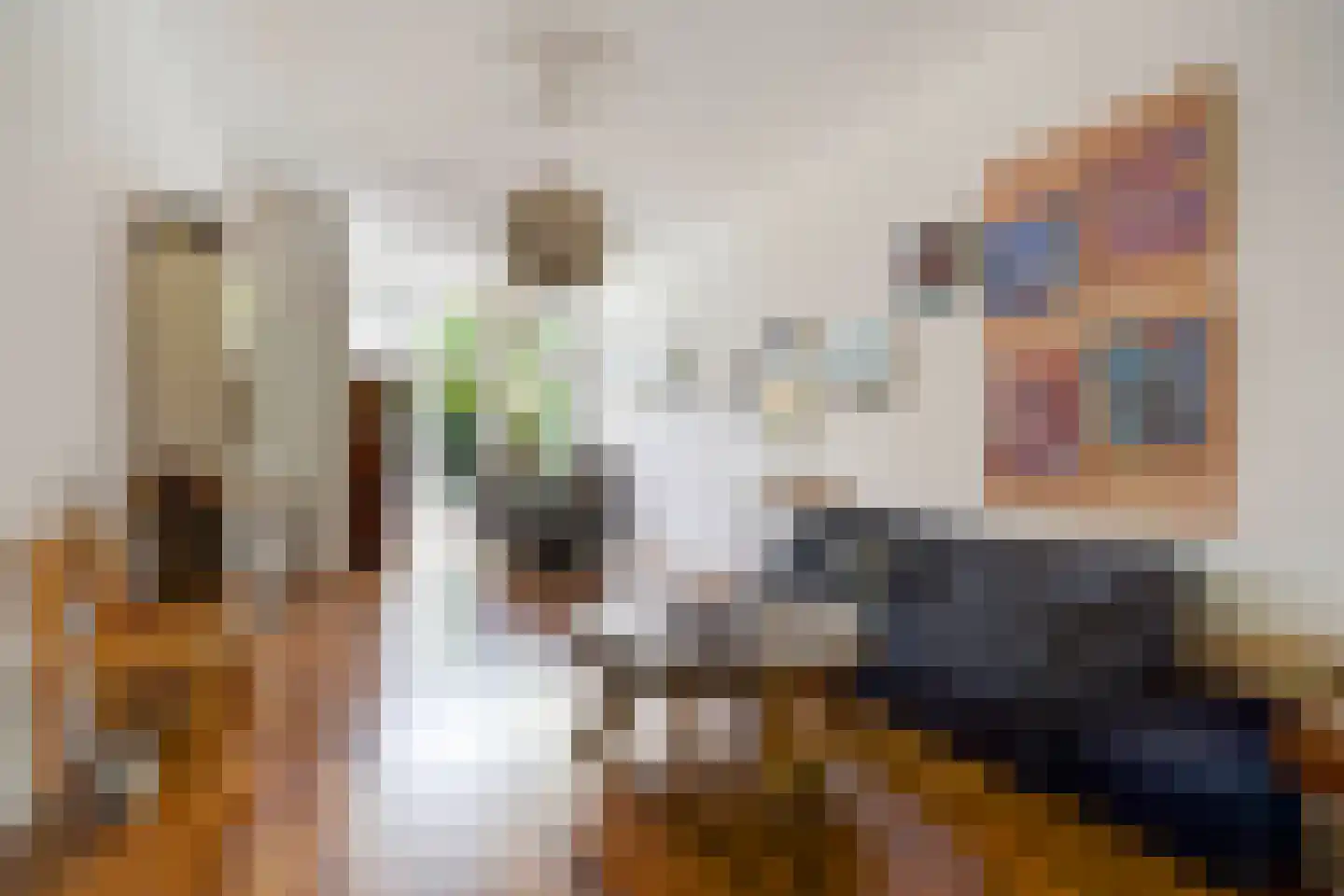 Ten Hovestraat 52 Den Haag thumbnail 9