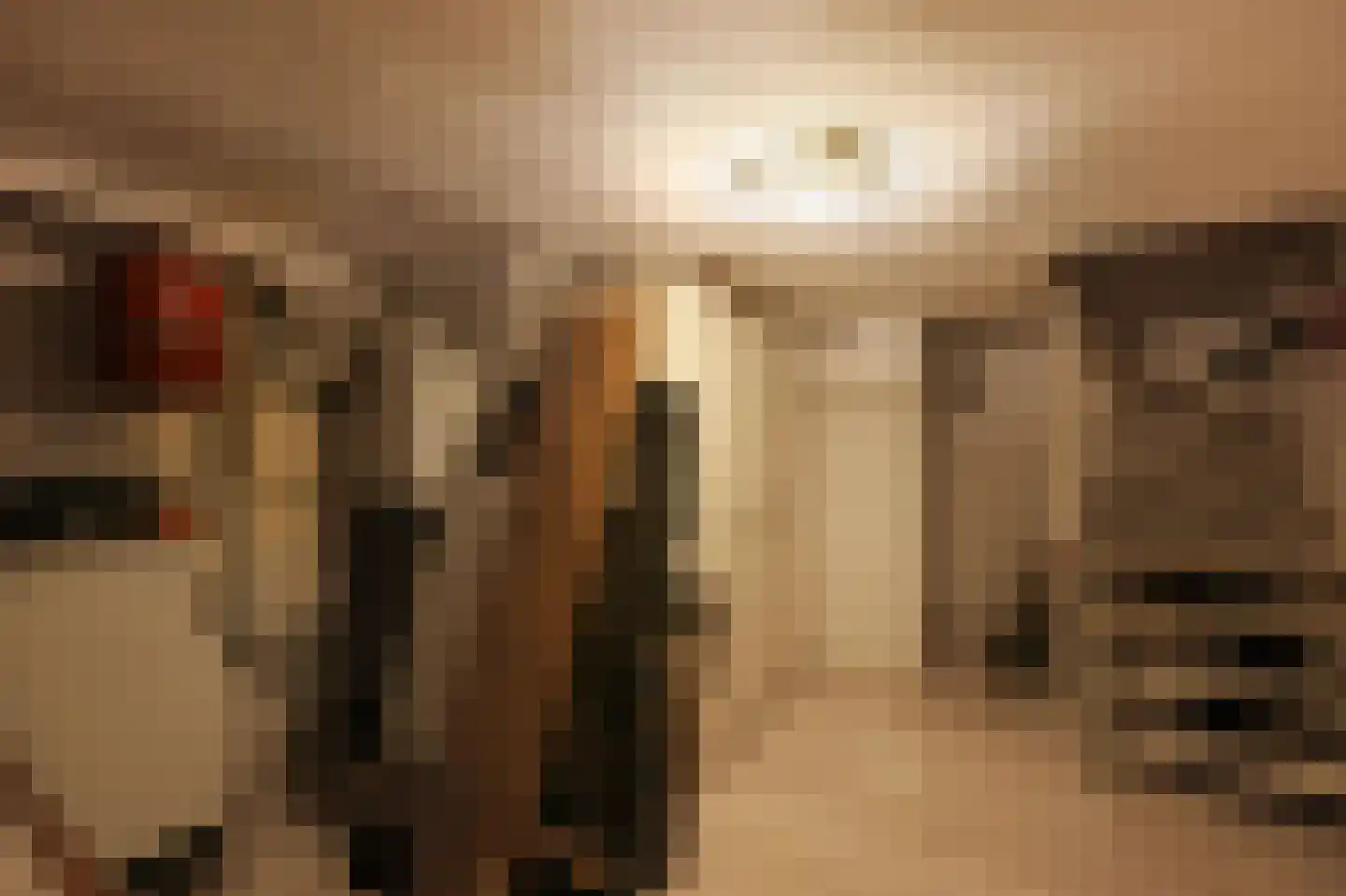 Ten Hovestraat 53 Den Haag thumbnail 21