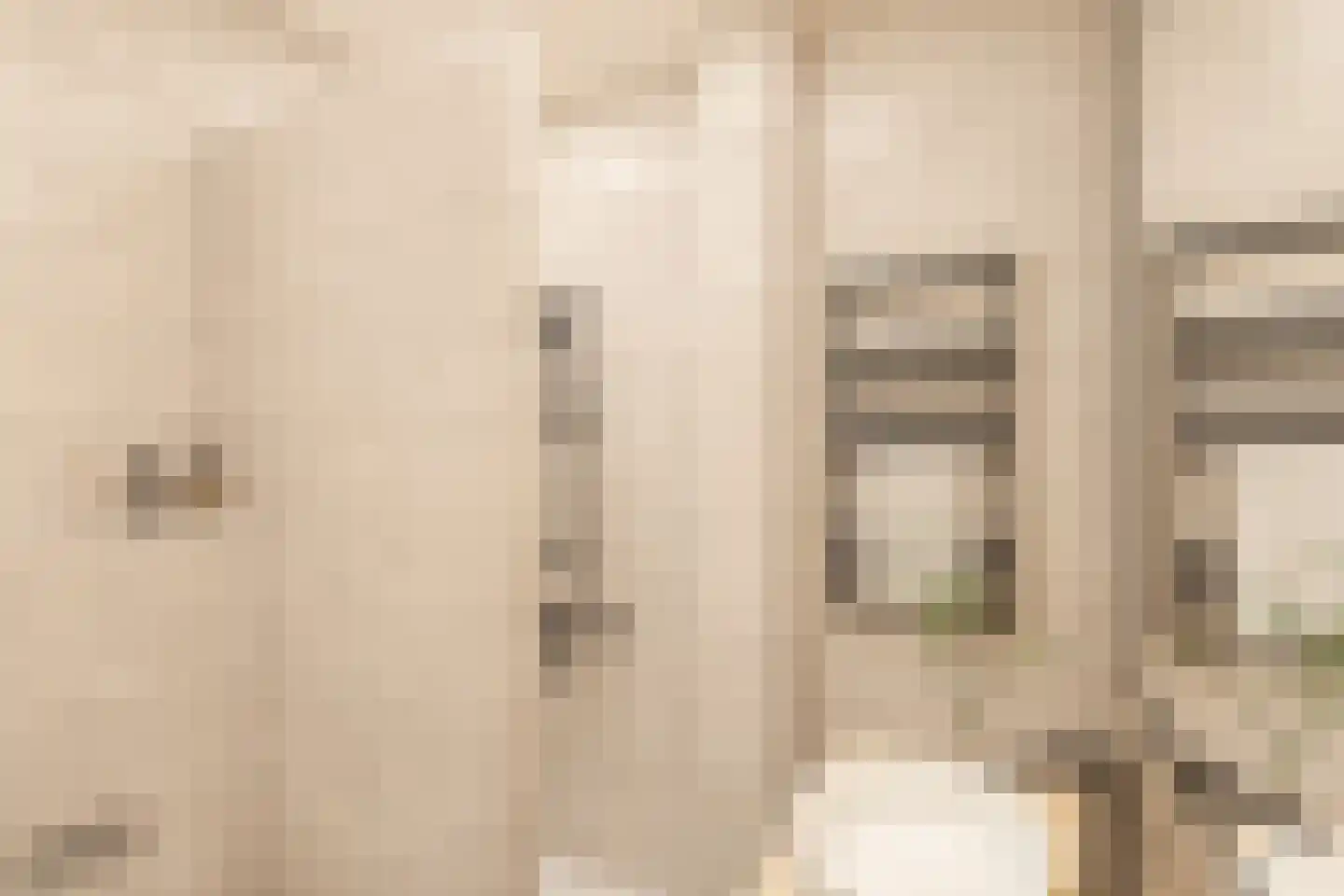 Ten Hovestraat 53 Den Haag thumbnail 28