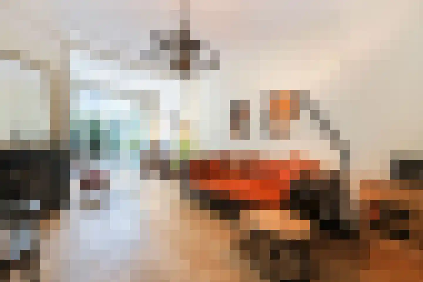 Ten Hovestraat 53 Den Haag thumbnail 6