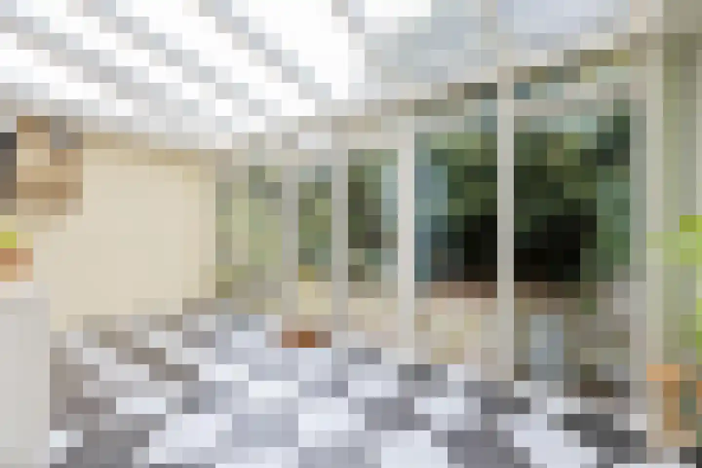Ten Hovestraat 53 Den Haag thumbnail 8