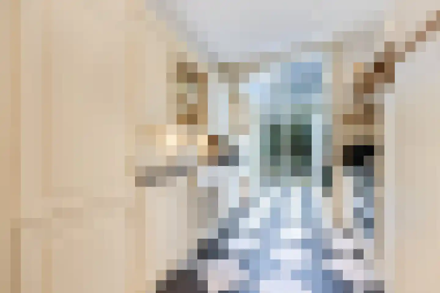 Ten Hovestraat 53 Den Haag thumbnail 9