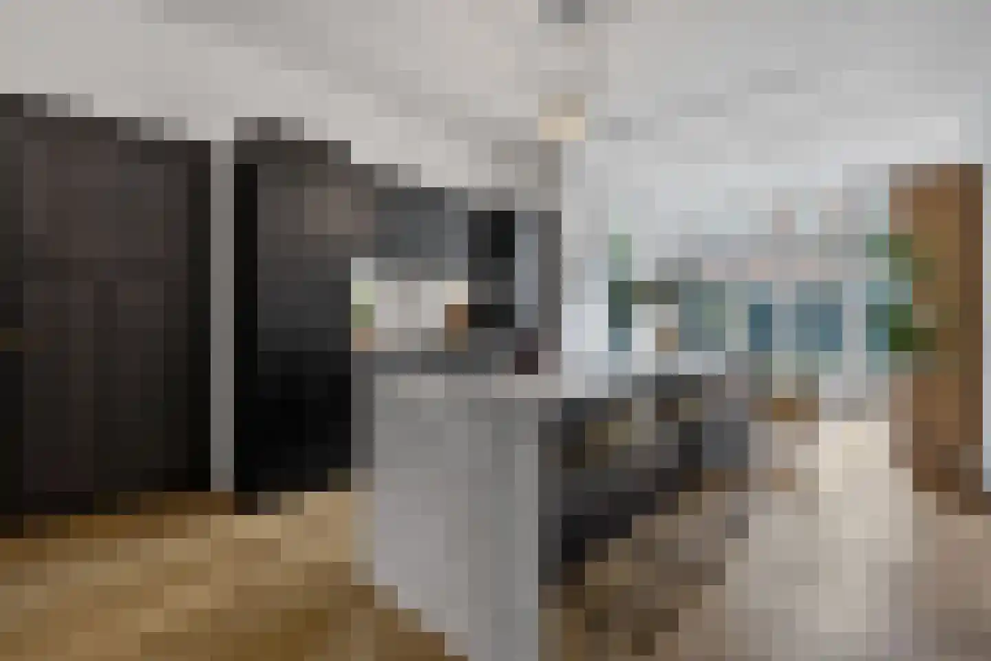 Ten Hovestraat 62 Den Haag thumbnail 15