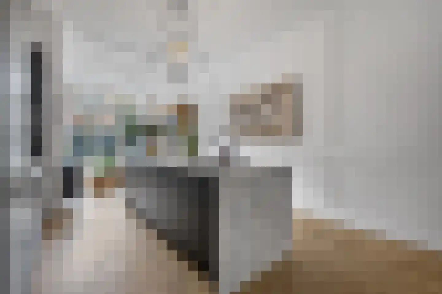 Ten Hovestraat 62 Den Haag thumbnail 35