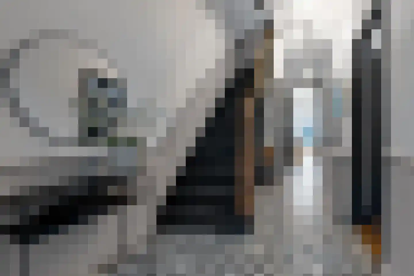 Ten Hovestraat 62 Den Haag thumbnail 52