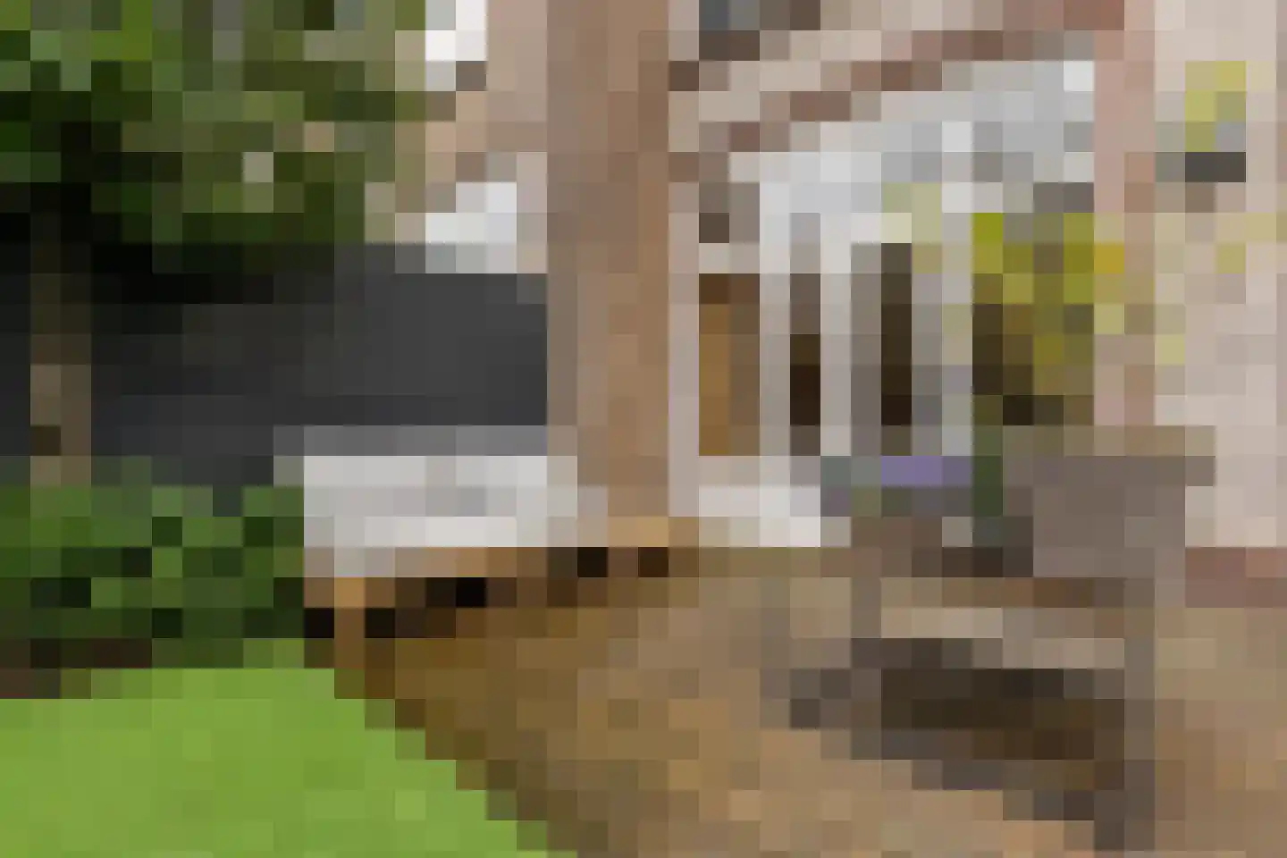 Ten Hovestraat 62 Den Haag thumbnail 63