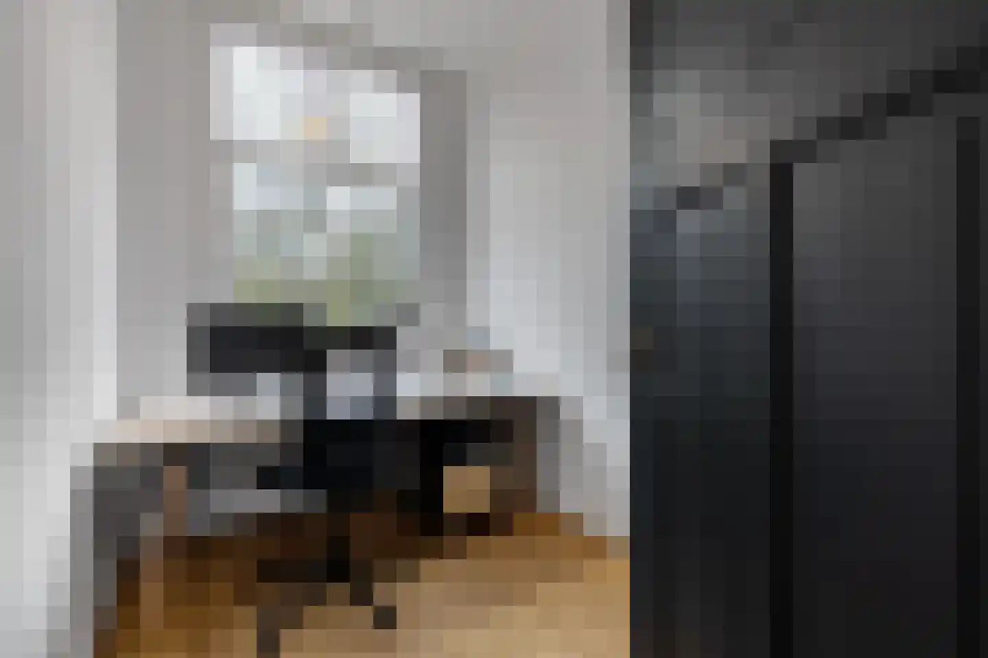 Ten Hovestraat 62 Den Haag thumbnail 64