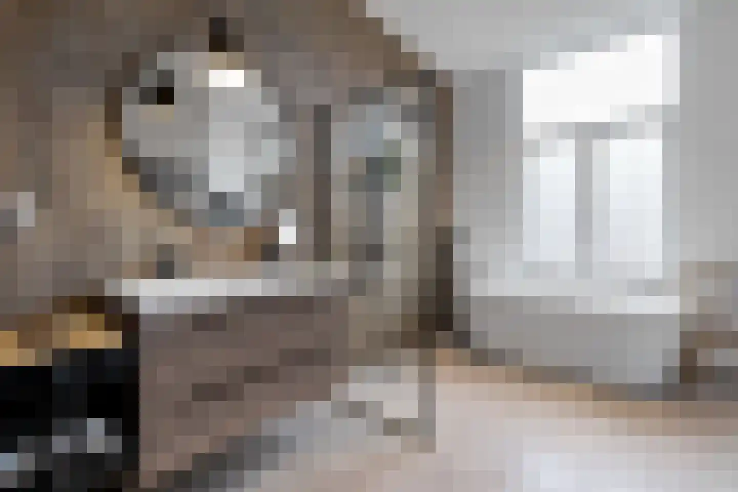 Ten Hovestraat 62 Den Haag thumbnail 81