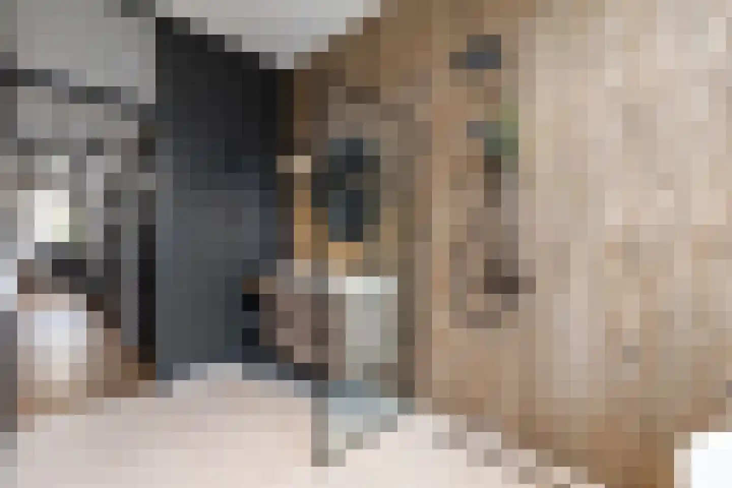 Ten Hovestraat 62 Den Haag thumbnail 87
