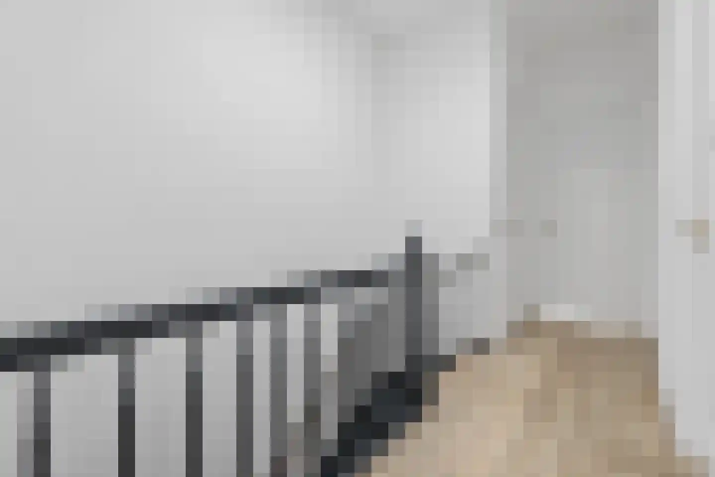 Ten Hovestraat 62 Den Haag thumbnail 97