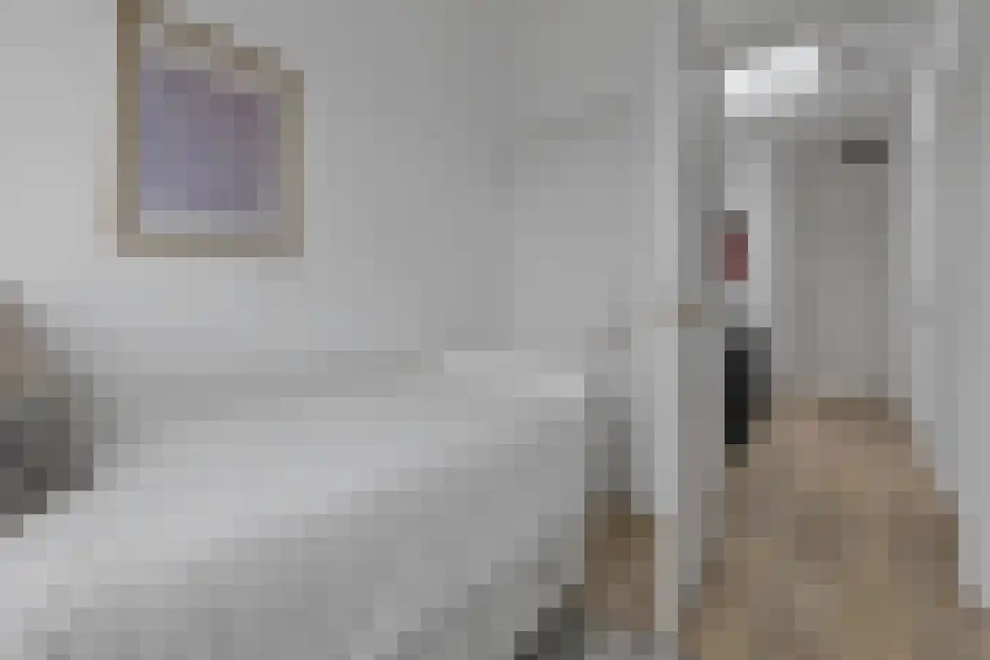 Ten Hovestraat 62 Den Haag thumbnail 99